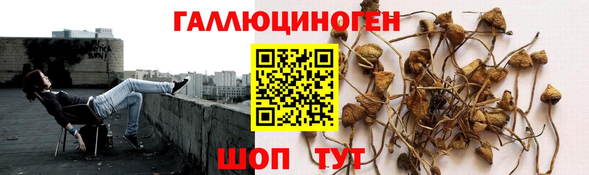 Слободской  Псилоцибиновые грибы Psilocybe  Вход с VPN 